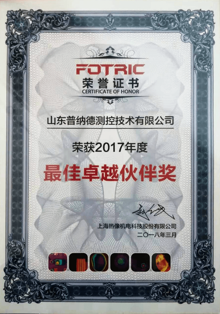 最佳卓越伙伴奖