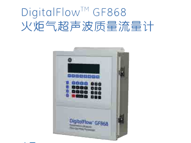 GF 868火炬气超声波质量流量计
