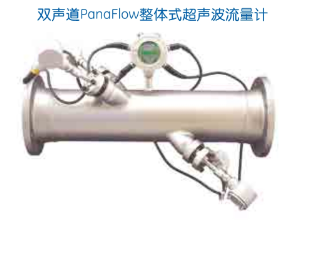 PanaFLow 管道式超声波流量计